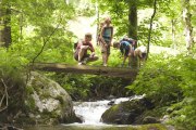 Waldexpedition, © Wiener Alpen in NÖ_Lierzer