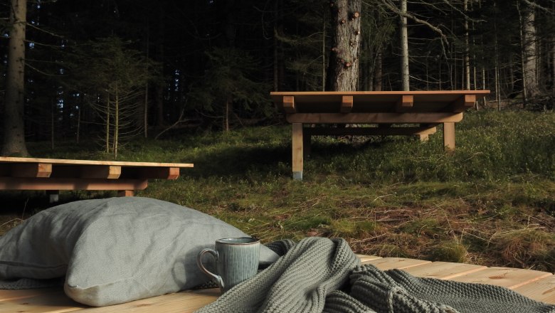Holzplattform im Wald mit Kissen, Tasse und Decke.