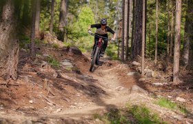 Singletrail 2, &copy; Wexl Trails