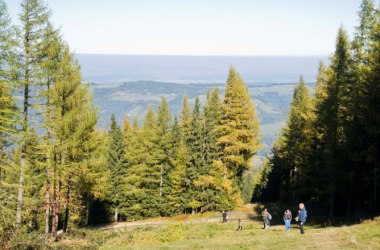 Mit der Familie in St. Corona wandern, © Martin Weiner