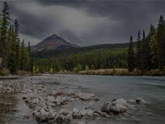 Fischerei Mariensee, © Fischerei Mariensee