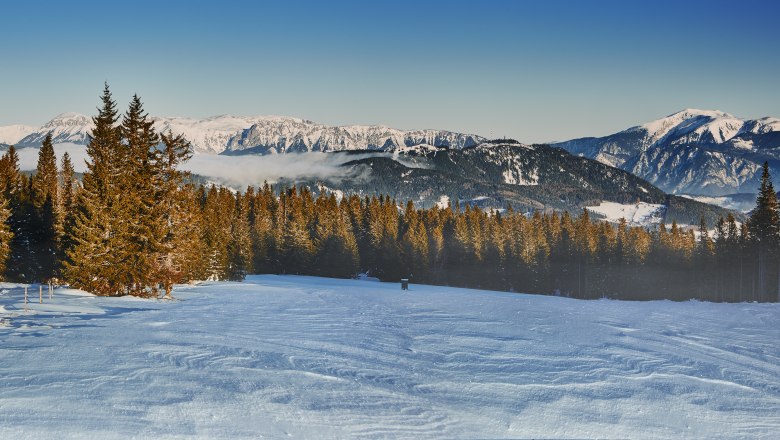 Winterlandschaft mit schneebedeckten Bergen und Tannenwald.