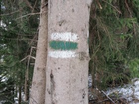 Baummarkierung nach St. Peter, © Wiener Alpen in Niederösterreich - Wechsel